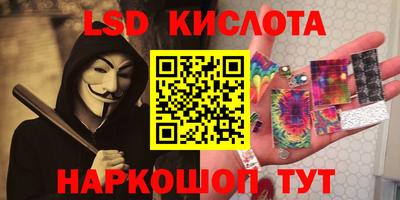 дмт Славгород