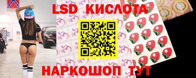 дмт Славгород