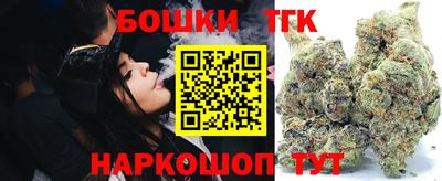 дмт Славгород