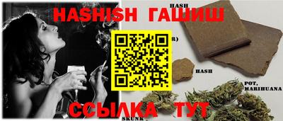 дмт Славгород