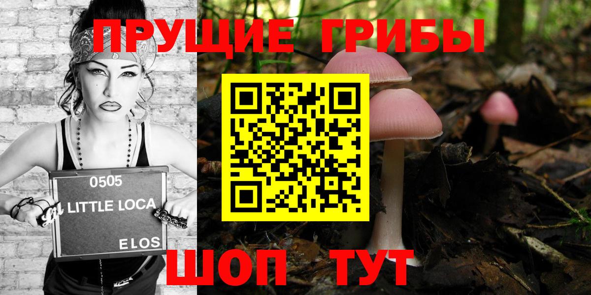 Галлюциногенные грибы Psilocybe Норильск