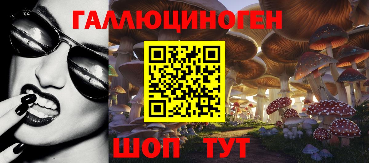 купить   Вход с VPN  Норильск  Галлюциногенные грибы Psilocybine cubensis 
